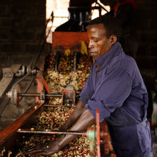 Load image into Gallery viewer, Hunkute, Ethiopia
