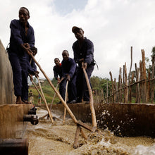 Load image into Gallery viewer, Hunkute, Ethiopia
