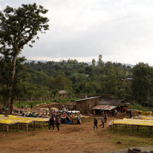 Load image into Gallery viewer, Hunkute, Ethiopia
