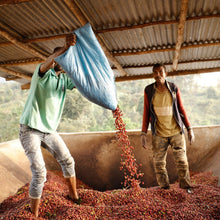 Load image into Gallery viewer, Hunkute, Ethiopia
