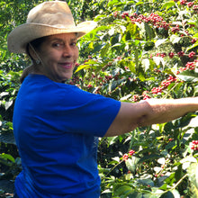 Load image into Gallery viewer, Finca Nejapa, Washed Pacamara, El Salvador
