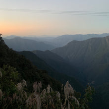 Load image into Gallery viewer, Alasitas, Natural Gesha, Bolivia
