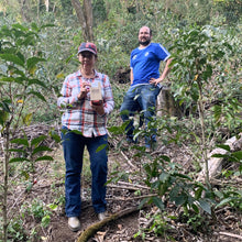 Load image into Gallery viewer, Finca Nejapa, Washed Pacamara, El Salvador
