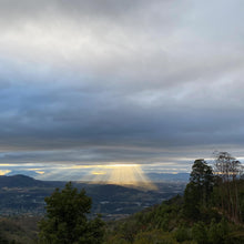 Load image into Gallery viewer, Calahual, Anaerobic Washed Caturra, Guatemala
