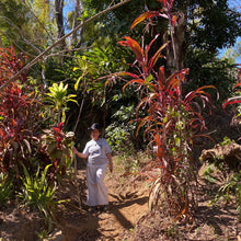 Load image into Gallery viewer, Finca Nejapa, Natural Elefante, El Salvador
